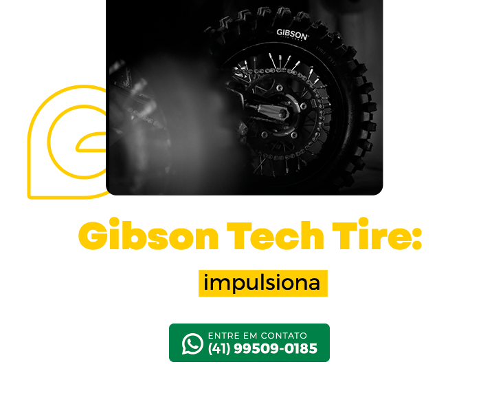 Gibson Brasil Tire Tech | Imagem ilustrativa